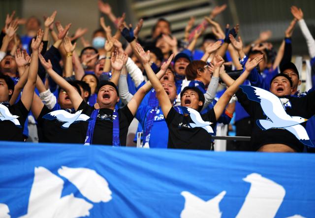 浙江队在主场胜利，迎来好开局