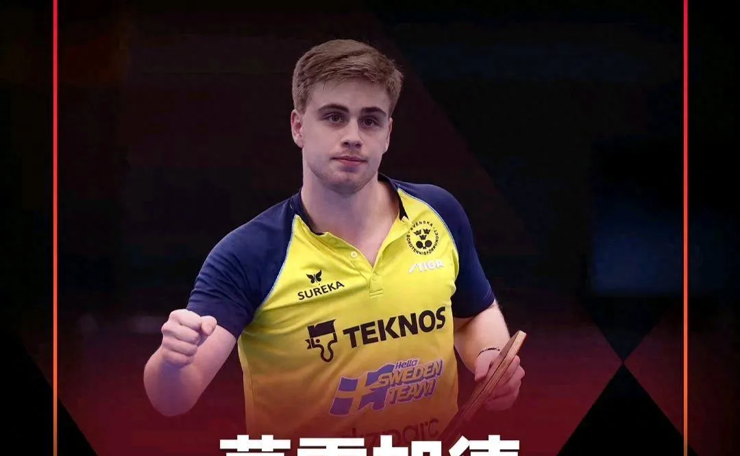 关于德国乒乓球队爆冷波兰乒乓球队，水谷隼制霸全场的信息