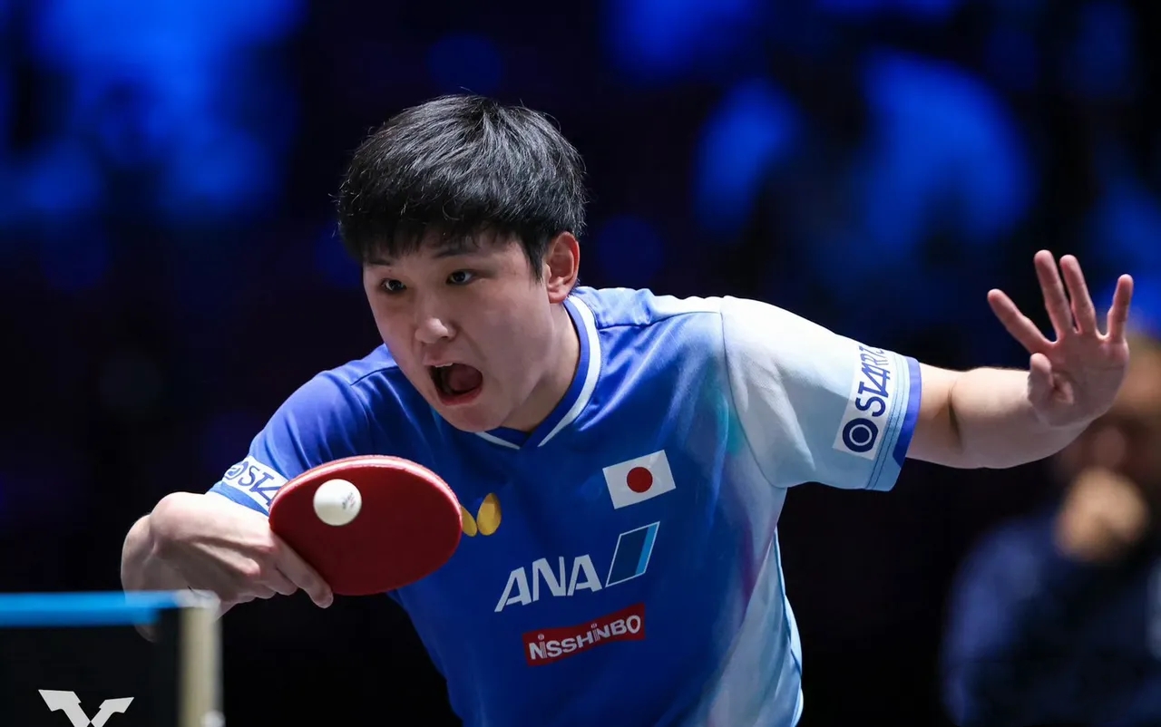 日本队横扫法国队，张本智和带队取胜