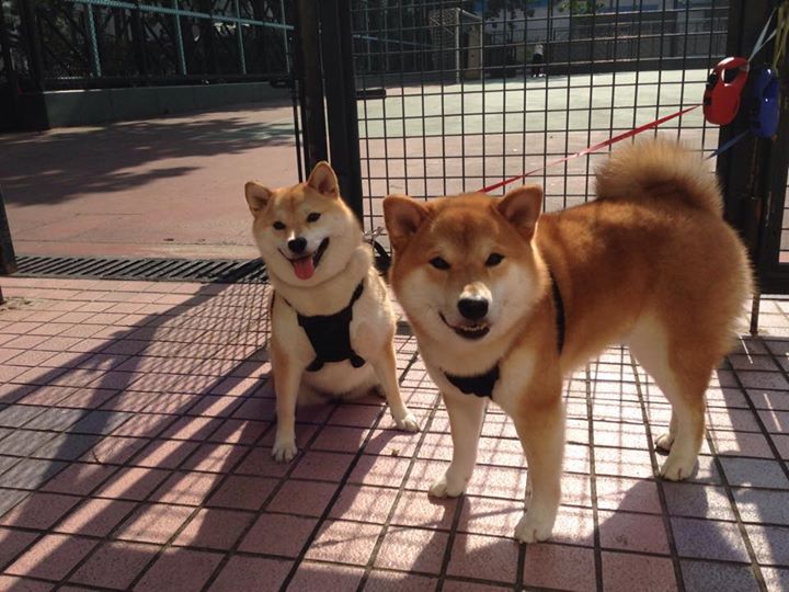 当开拓者速度席卷公牛，浓眉在欧冠决赛上演个人接管，体育宇宙的平行叙事