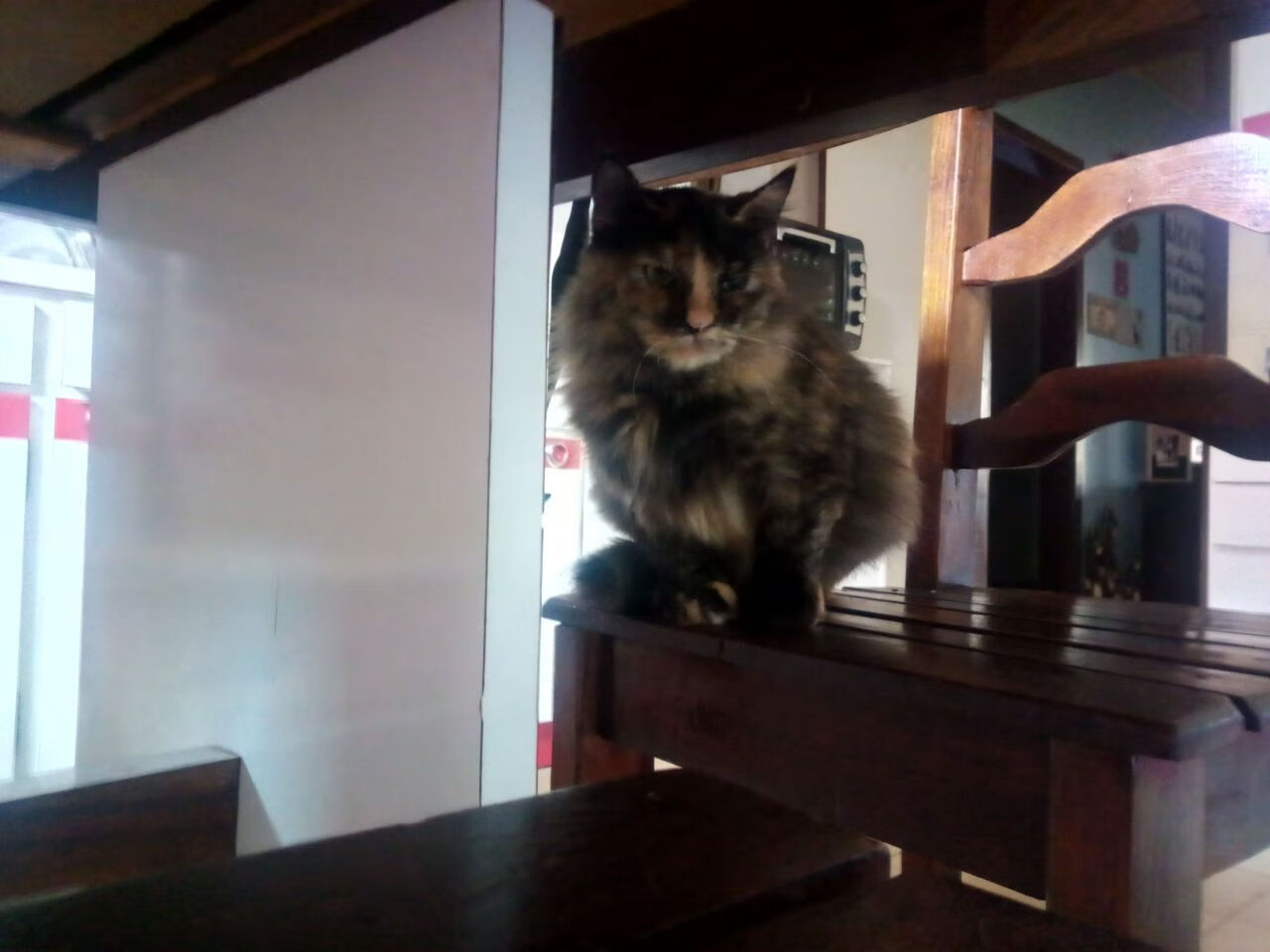 冠军基因的投射效应,当湖人遭遇森林狼,杜兰特式表现如何定义胜负