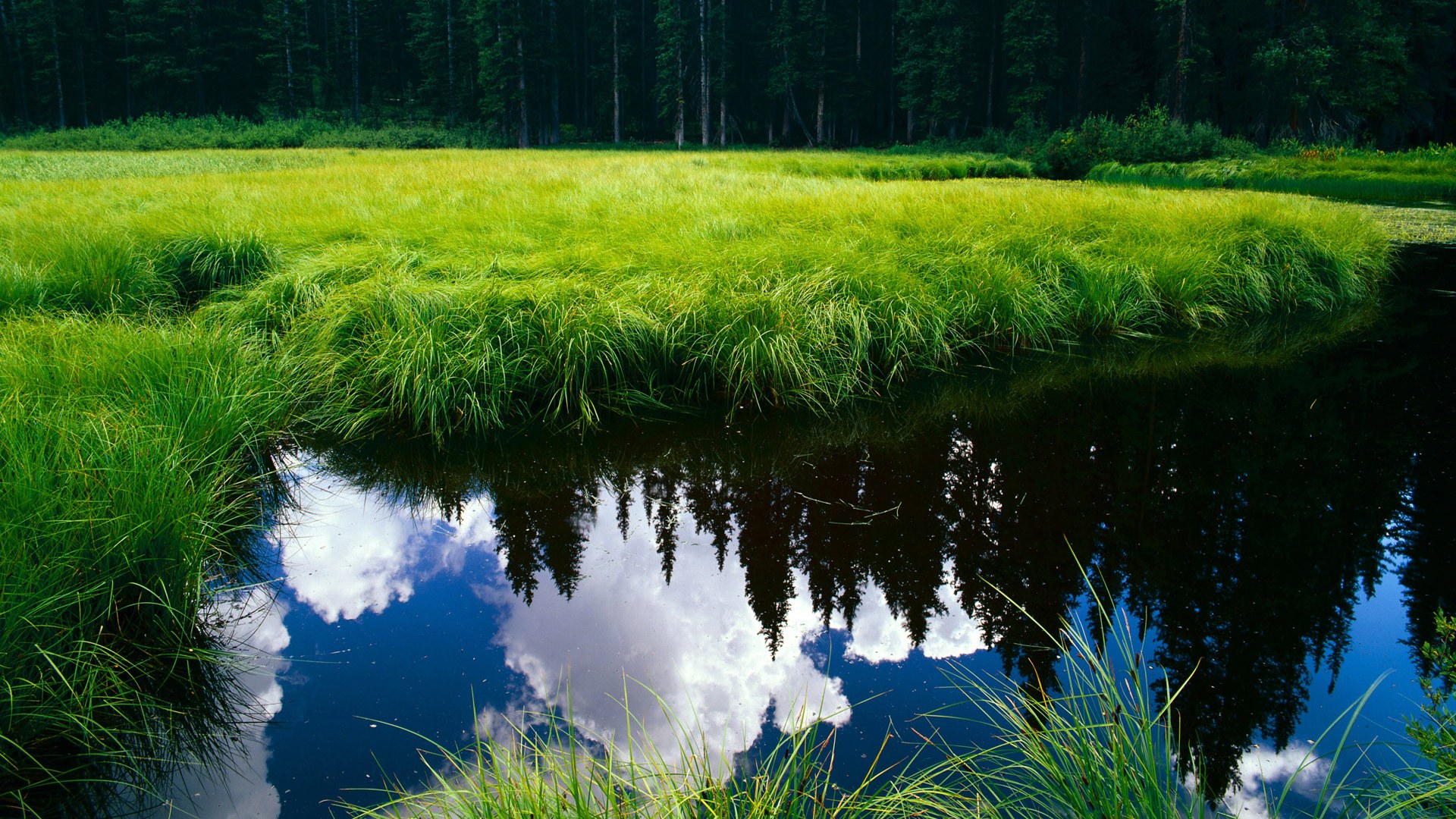 伊萨克爆发助力乌拉圭强势拿下丹麦,南美劲旅展现实力锋芒