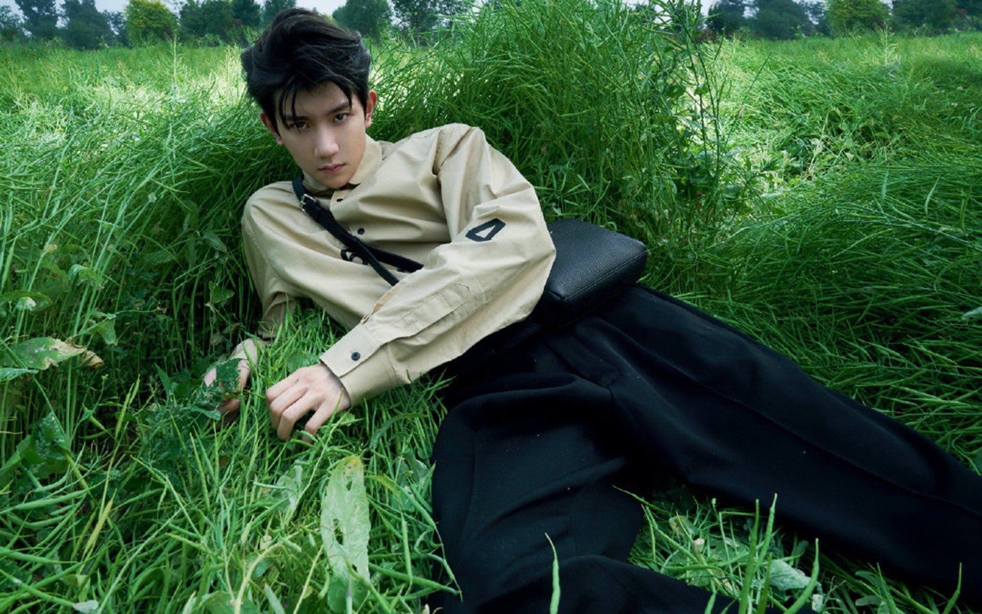 赛场与战场,弗拉霍维奇的爆发与埃及冲垮伊拉克—论黑天鹅事件的结构性颠覆