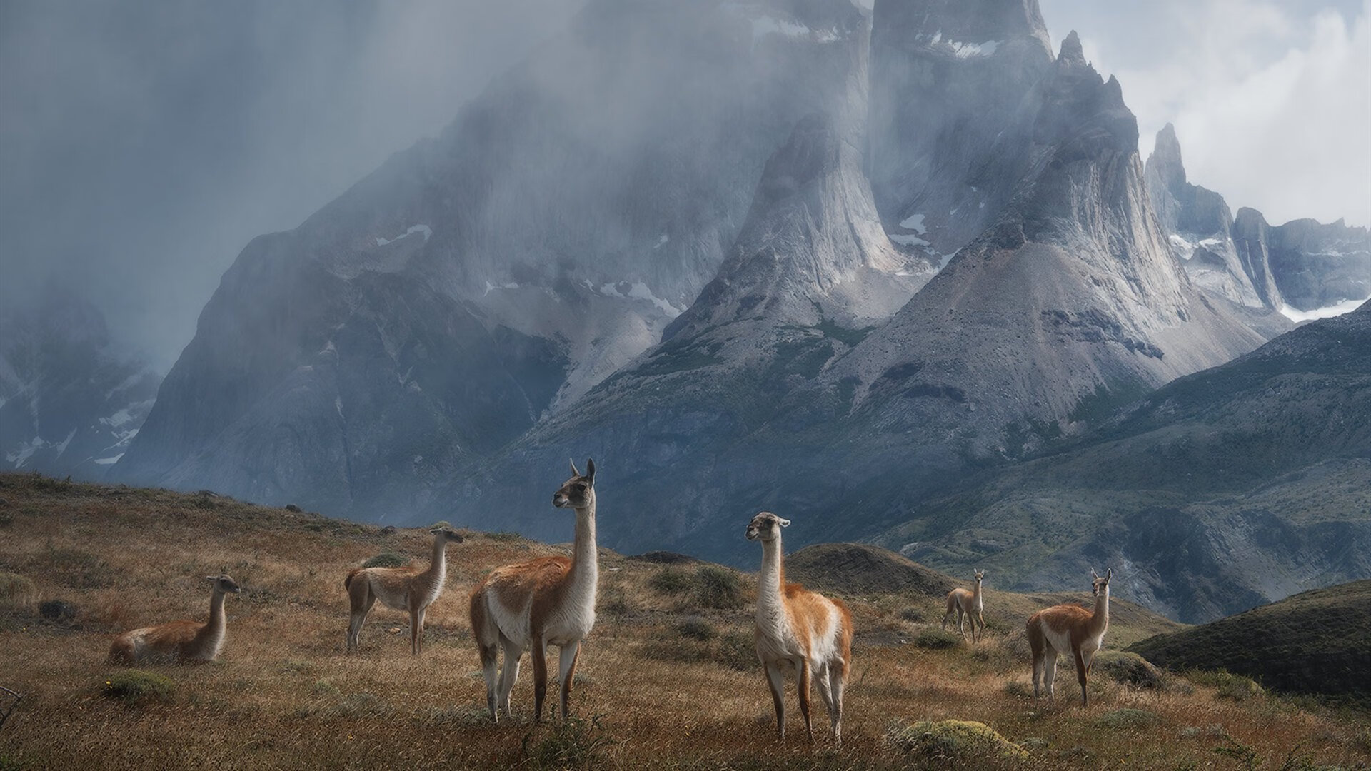 年度焦点之战,热火决胜局客场力擒广厦队