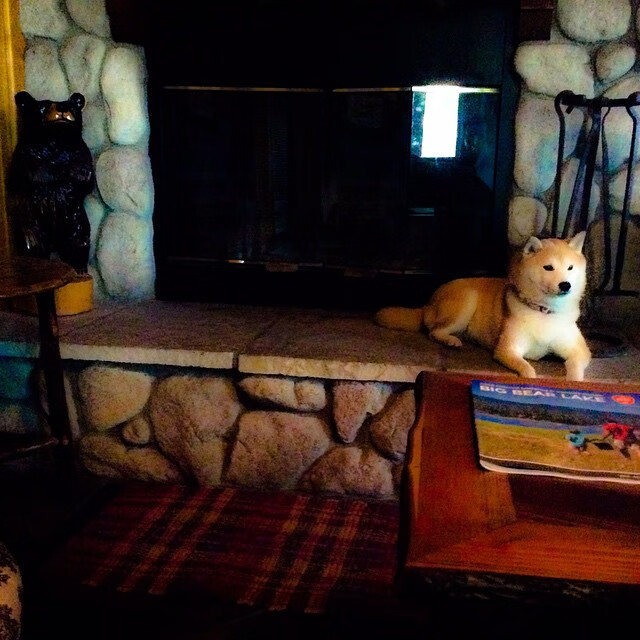 火箭弹雨淹没魔术,杰伦·格林存在感拉满点燃休城夜空