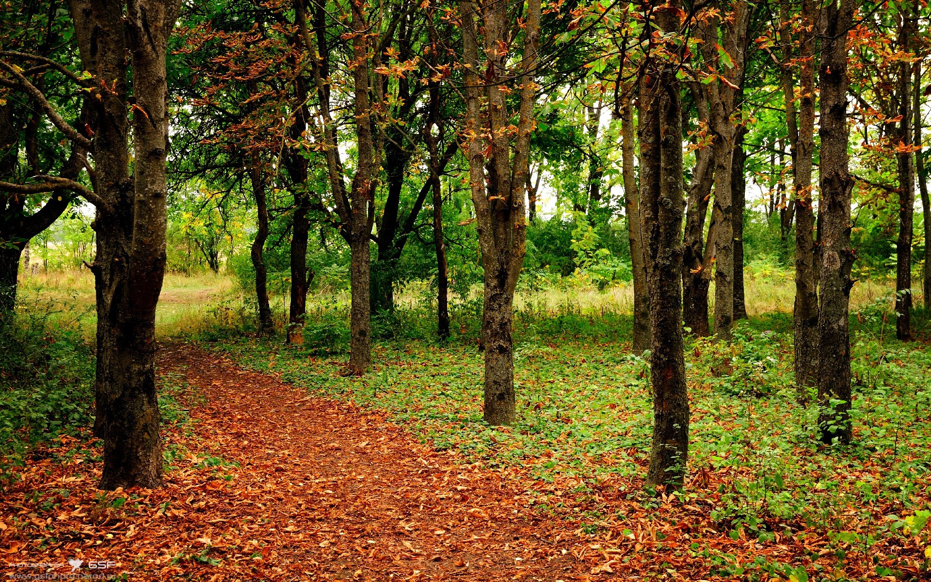 墨西哥高原夜战，罗马最后时刻击碎利物浦的梦