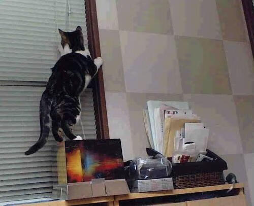 意甲疯狂夜！内马尔造5球独舞圣西罗，数据爆炸诠释亿元价值