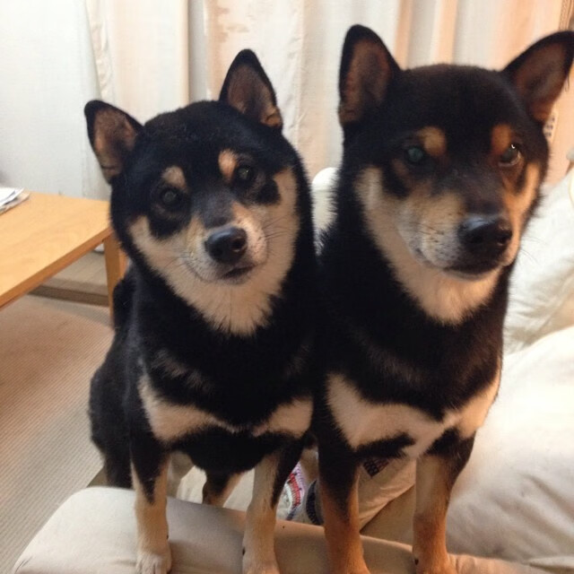 快船生死战，哈登的完美掌控