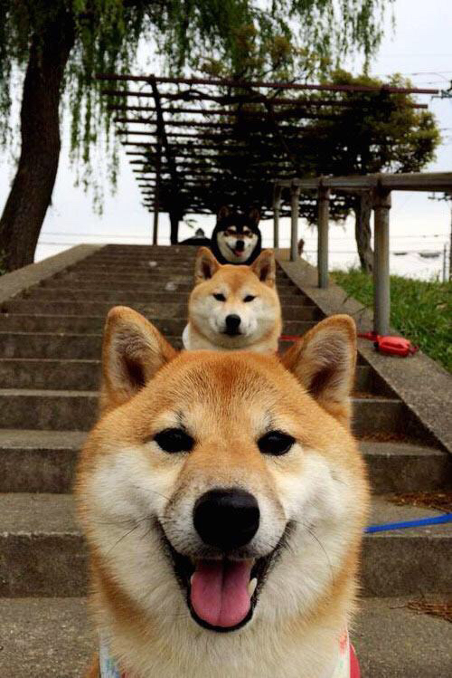 钢铁与速度，山西铁壁封锁广东，F1决战演绎终极竞速艺术