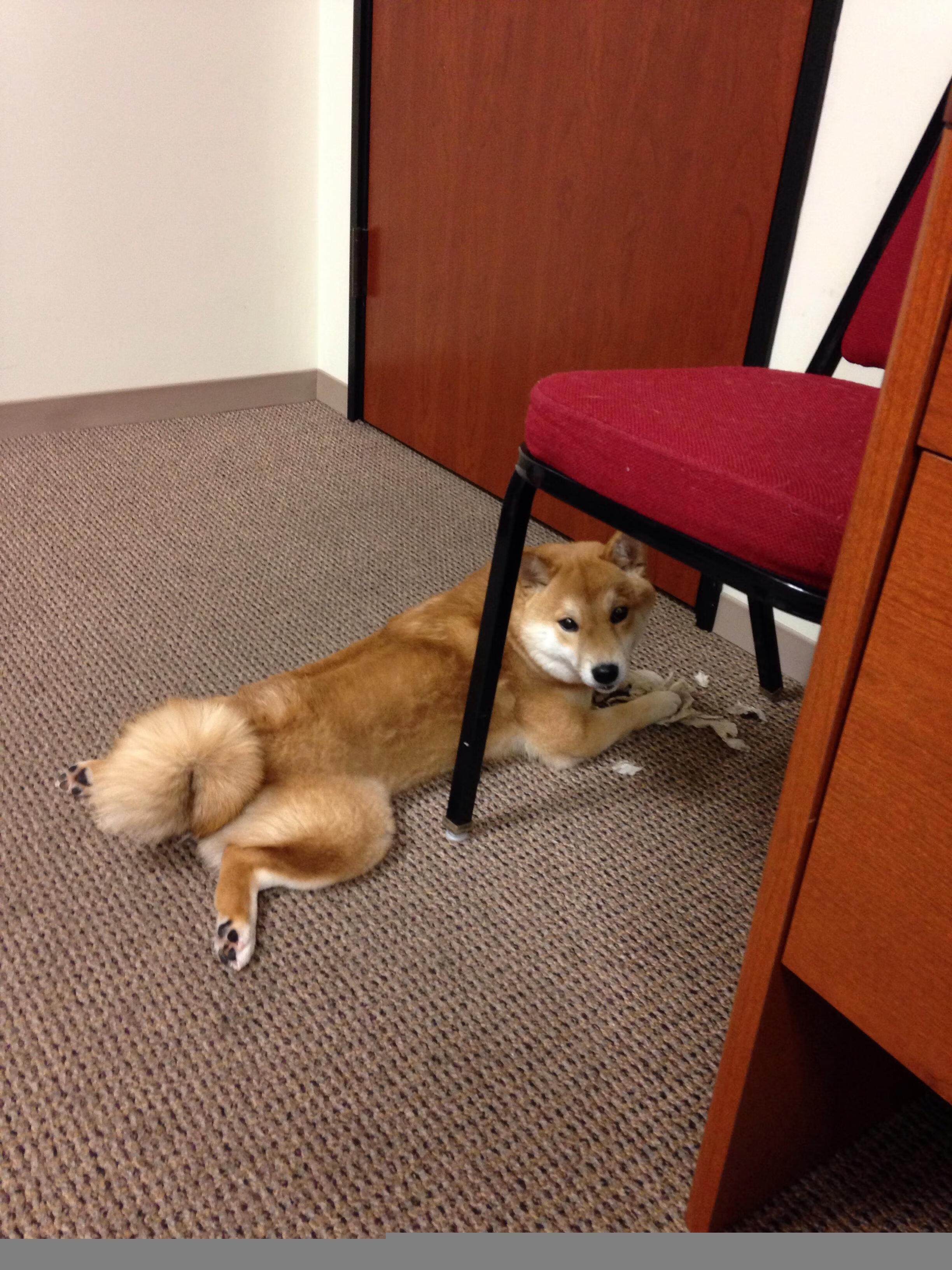 英格拉姆彻底打爆防线,76人主场狂胜骑士—一场个人能力的极致展现