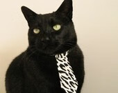 年度焦点之战之夜，莫兰特攻防两端统治封神