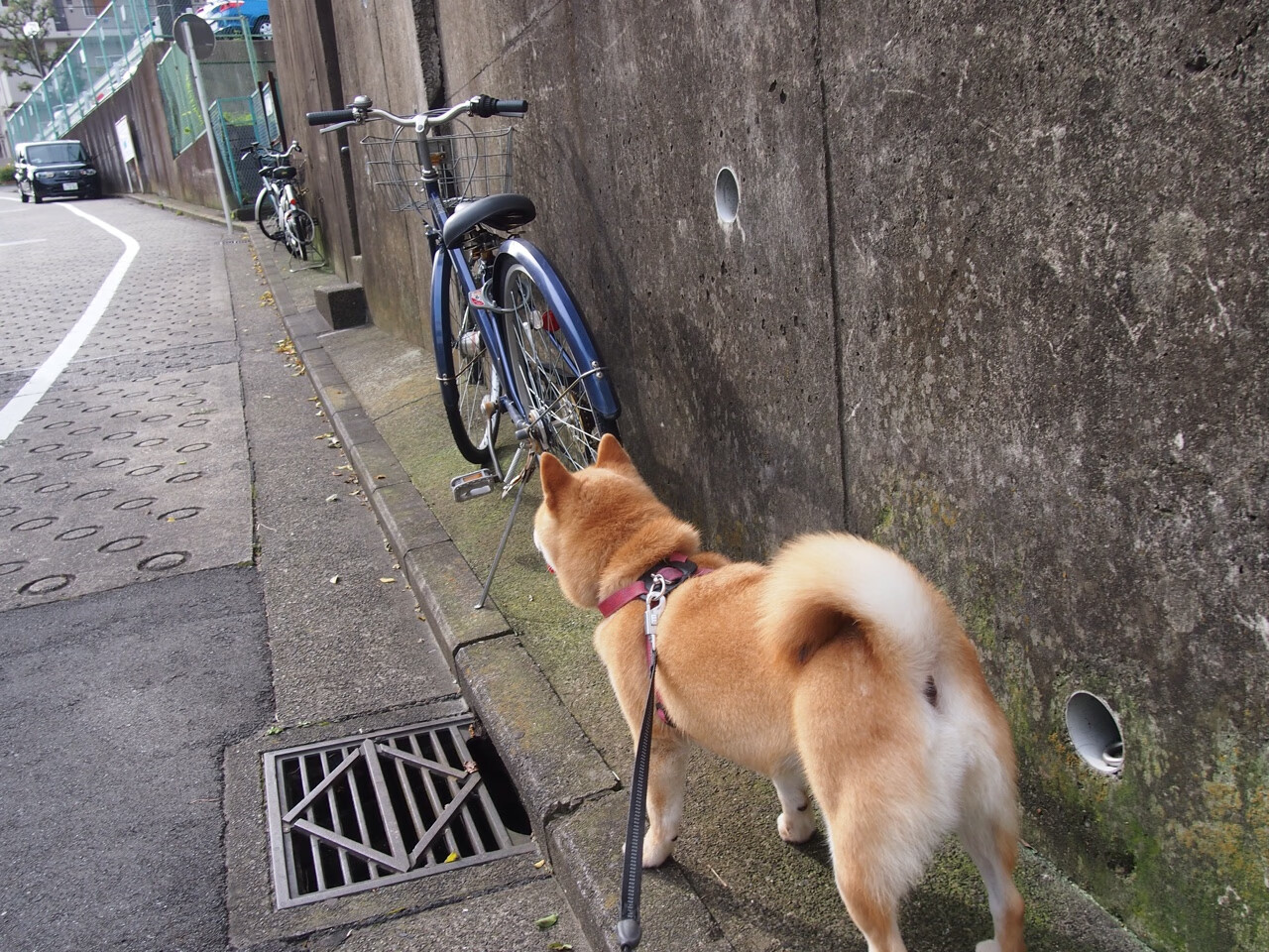一球定乾坤,一代收残局,当关键时刻遇见时代更替