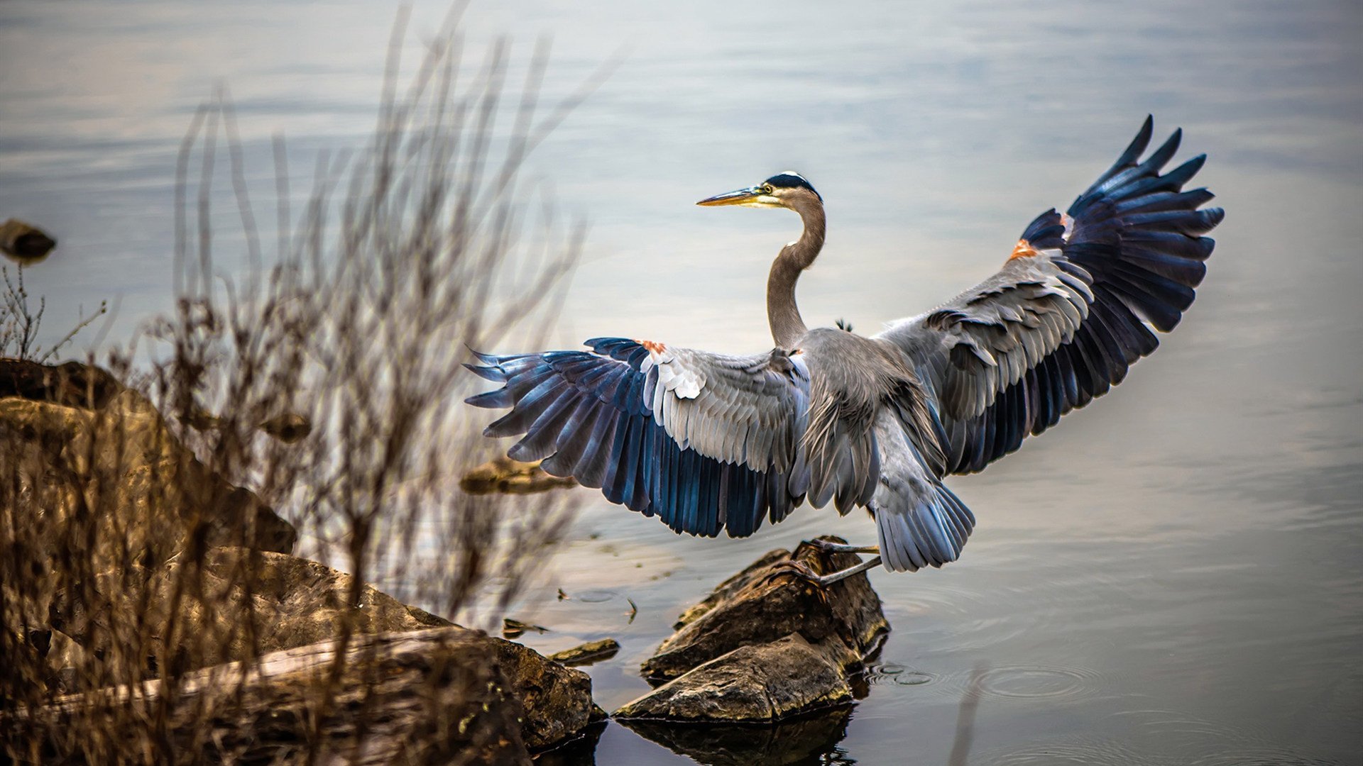 开云下载-亚洲风暴席卷亚平宁，卡塔尔资本粉碎佛罗伦萨，李刚仁化身关键先生改写格局