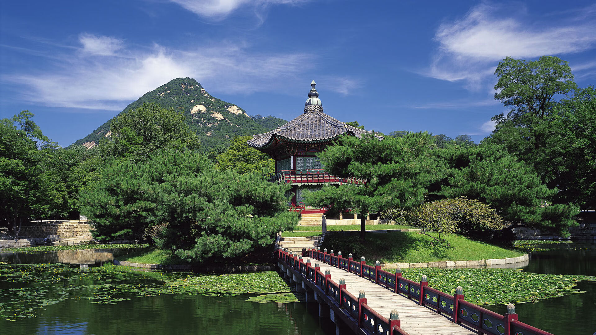 硬仗之王拉亚,委内瑞拉对阵玻利维亚的生死博弈