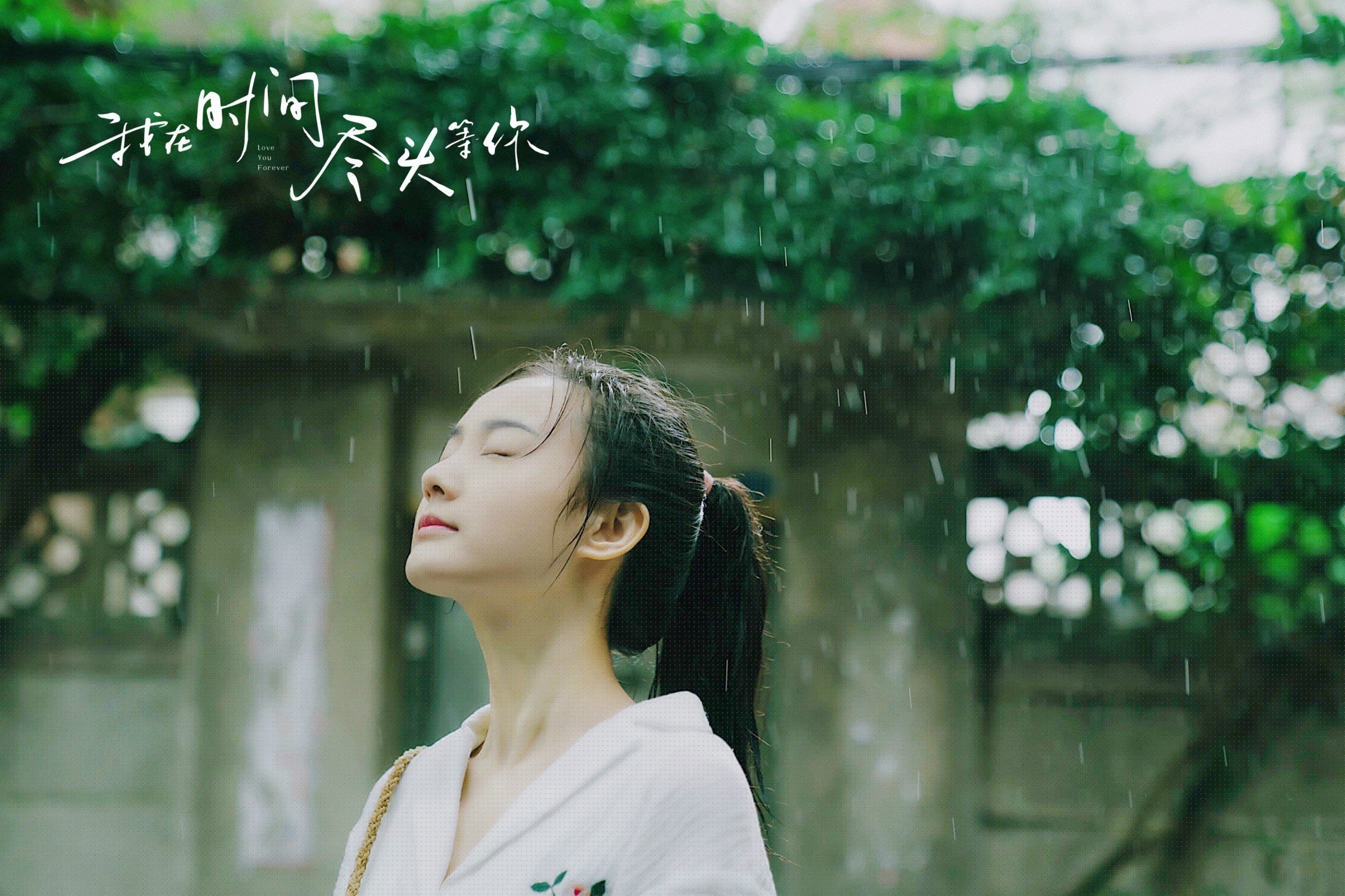 跨越太平洋的篮球史诗,救赎与征服