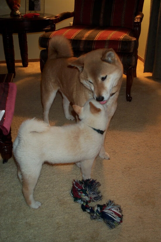 奥亚尔萨瓦尔统治全场，勒沃库森友谊赛轻取巴拉圭国家队